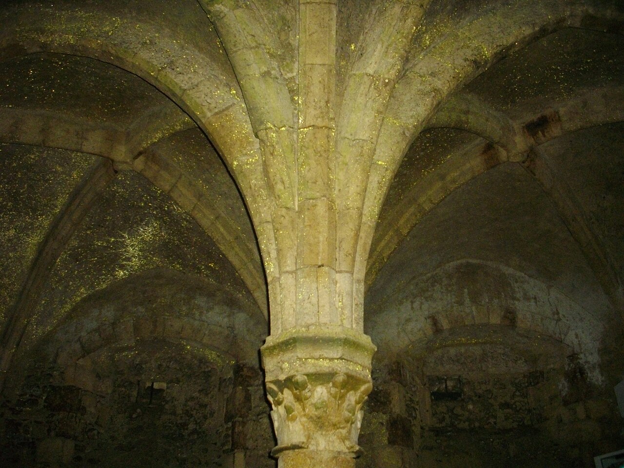 Le château de Meung-sur-Loire et ses jardins